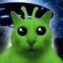 _sillyorganism