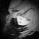poppy_wceu