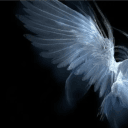 angel_15_10