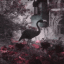 cvm_flav0red_juu1_p0d
