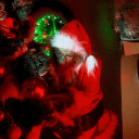 /poised™ 🎄's server icon