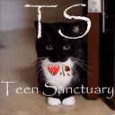 Teenage Sanctuary's server icon