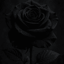 Black Rose Promotions | Advertise・Growth・Social Media