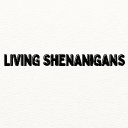 Living shenanigans (LVS)'s server icon
