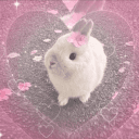 bliss  ♡ chat & events's server icon