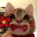 HYRA's server icon