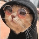 Twitch Follower's server icon