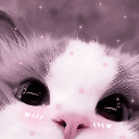 𝙼𝚒𝚍𝚗𝚒𝚐𝚑𝚝  𝙲𝚊𝚏é ♡  |  Community  •  Society  Gaming  • Dating •  Pfp ....  Community Server's server icon