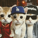 Gangster Cats's server icon