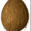 coconutsmp's server icon