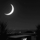 🌙 Moonlight Lounge🌙