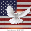 Friends-USA-Support's server icon