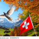Friends-Switzerland-Support's server icon