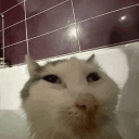 Geeks and james super awesome server's server icon