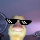 ᴠᴏʟᴜɴᴛᴇᴇʀ ᴠɪʟʟᴀɢᴇ | nitro + robux gwys