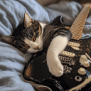 Mewtopia | Social . Chatting . Vc . Cats