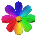 Girls's server icon